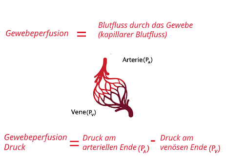 Voraussetzung für eine adäquate Perfusion sind adäquater arterieller Blutdruck und adäquates Herzzeitvolumen (CO)